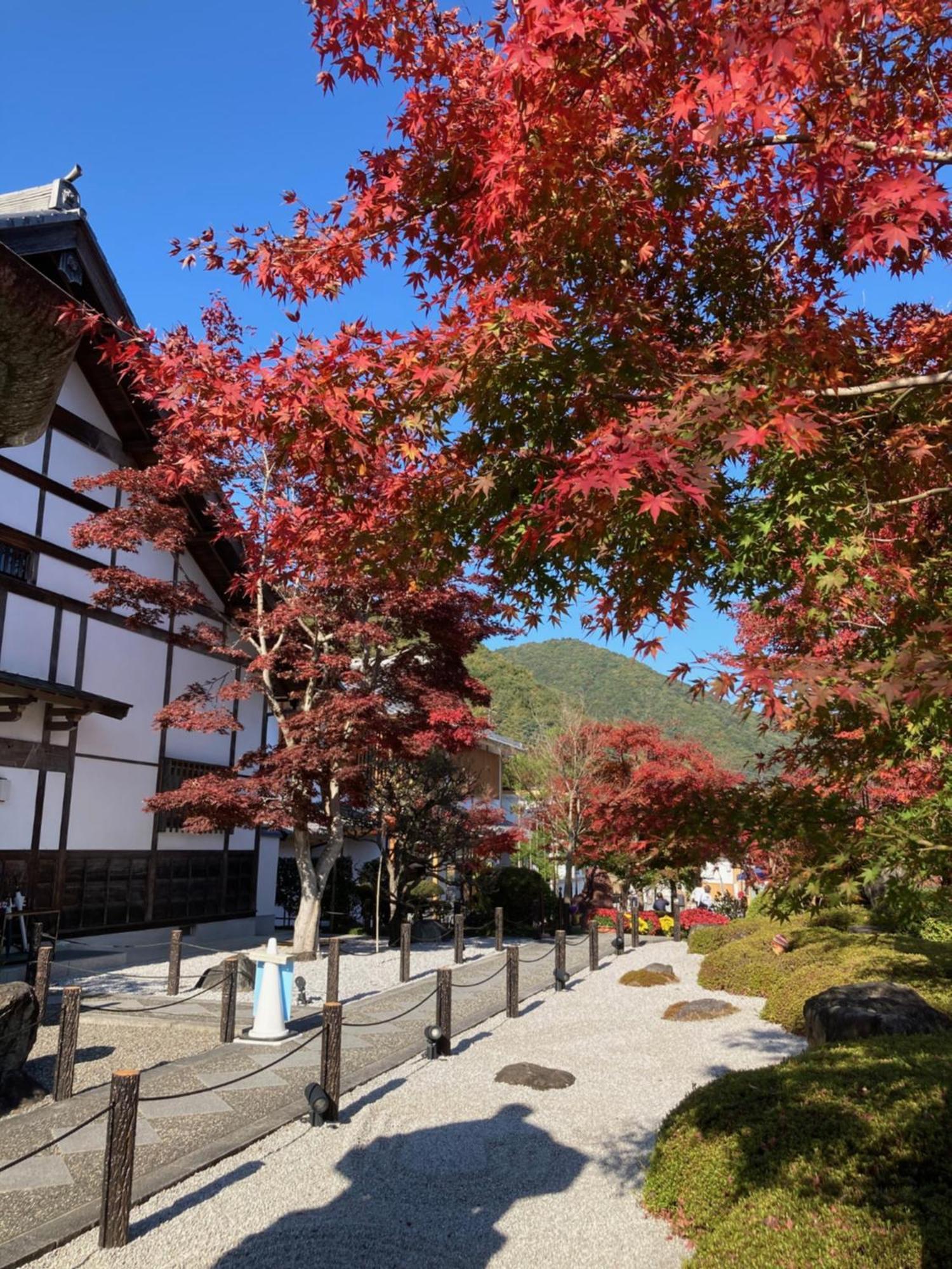 Sky Tree Inn 도쿄 외부 사진